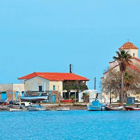 Eleftheria's *