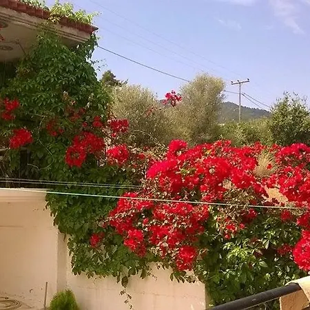 Eleftheria's