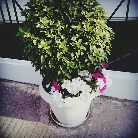 Apartmán Eleftheria's
